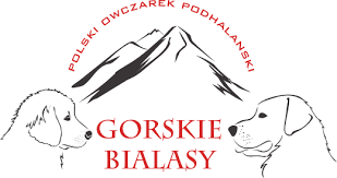 Polski Owczarek Podhalanski